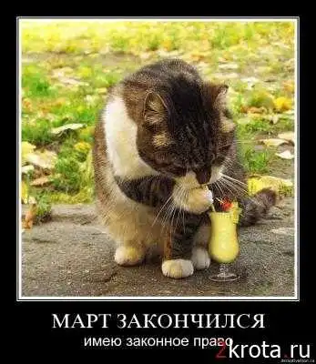 Пушистый позитив