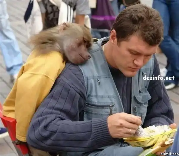 Голод не тётка.