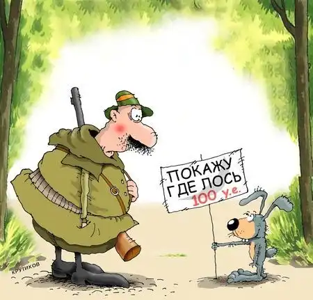 фотоподборка