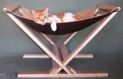 Оборжаться, кошечки