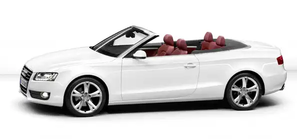 "Дождь из банкнот" на автомагистрали