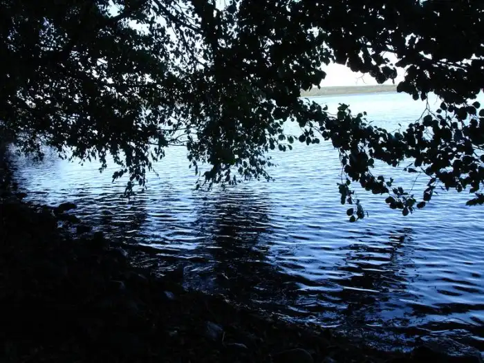 Российская рыбалка