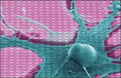 Работая до старости, можно уберечься от слабоумия