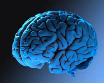 Работая до старости, можно уберечься от слабоумия