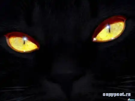 9 жизней кошки.