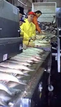 Все профессии нужны,все профессии важны....