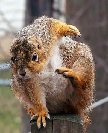 Улыбайтесь...