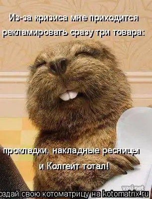 Котоматрица