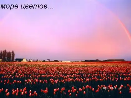 С Днем Рождения, =FaNtA=