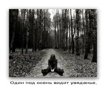 А ты что выбираешь? (в стихе)