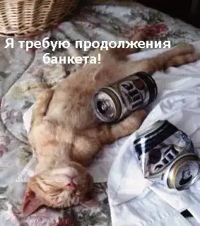 котоматрицы)