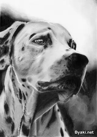 Больше чем просто друг