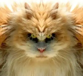 Угадайте кто на фото ;)