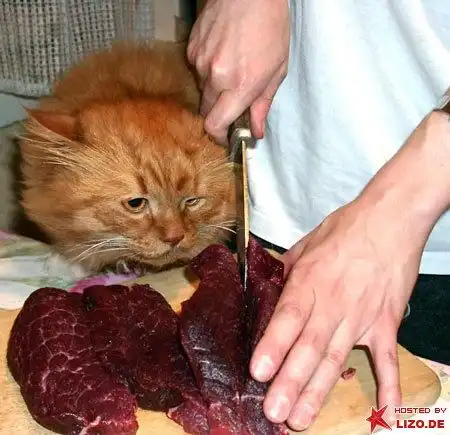 Угадайте кто на фото ;)