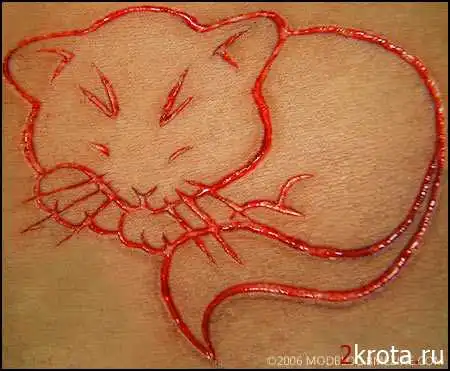 Шрамирование