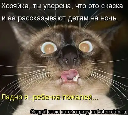 КотоМатРицы