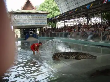 Крокодилы:)