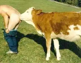 Прикольные фото