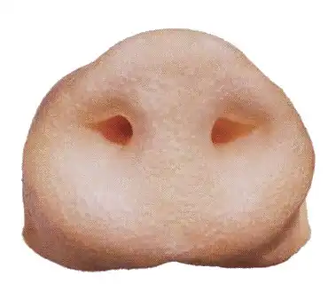 Свинская жизнь