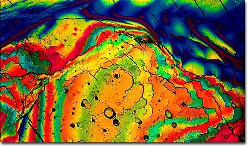 ПИВО под микроскопом