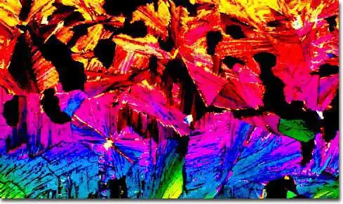 ПИВО под микроскопом