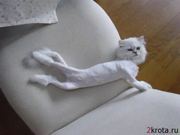 Чтобы не жарко летом было