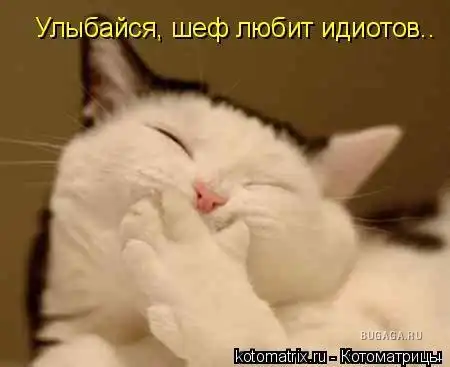 Забавные животные