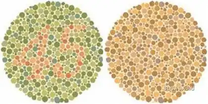 Мир глазами дальтоника