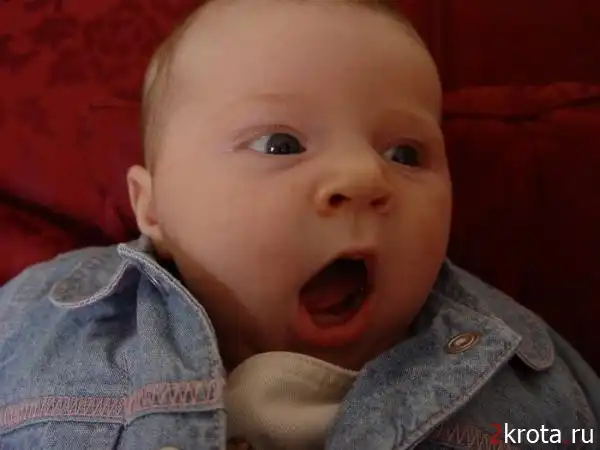 Зевающие малыши