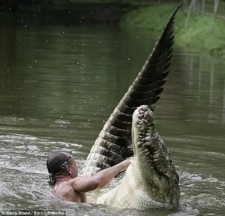 Друзья (4 фото)