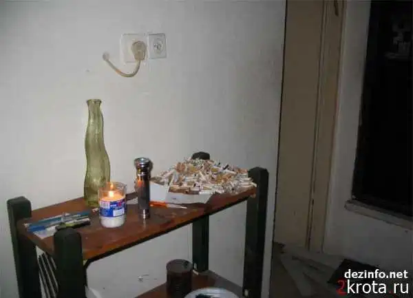 Как студентка снимала квартиру