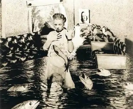 Фотографы / Грета Штерн