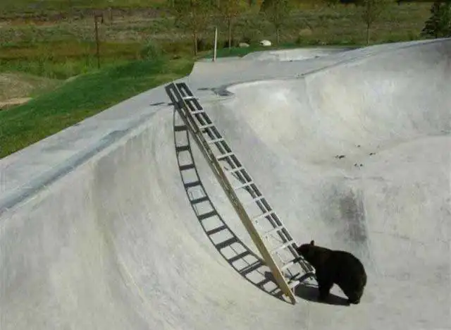 Протянули руку помощи.