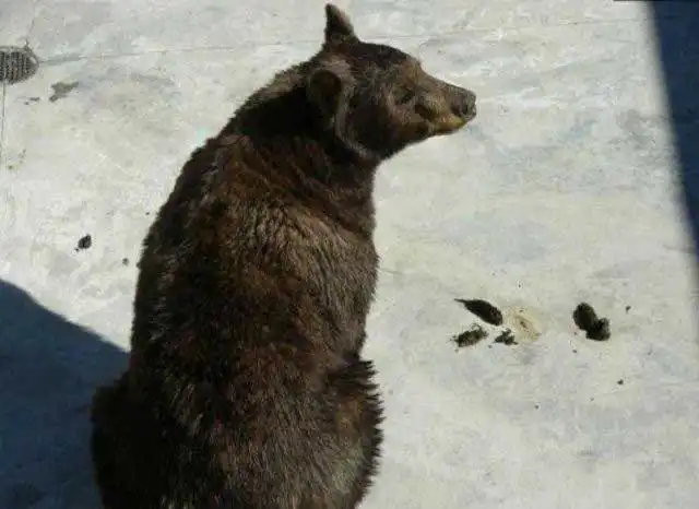 Протянули руку помощи.