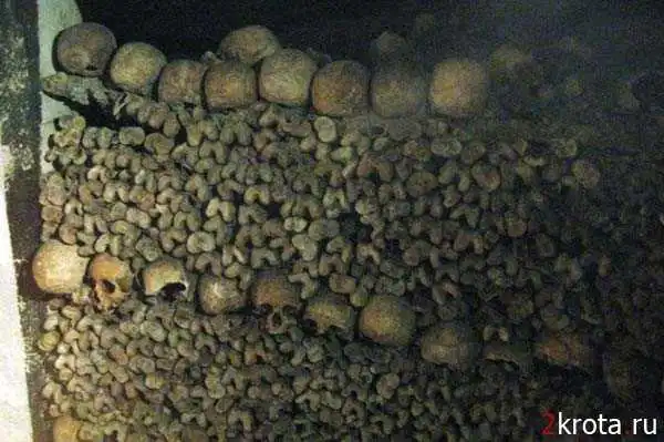 Катакомбы мёртвых под Парижем...