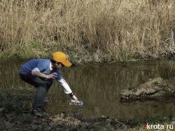 картинки прикольные.. (мало)