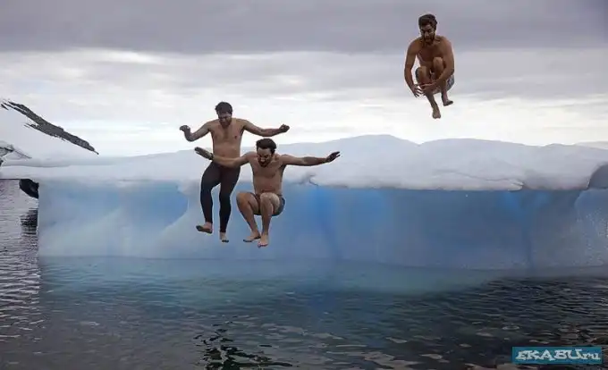 Антарктика