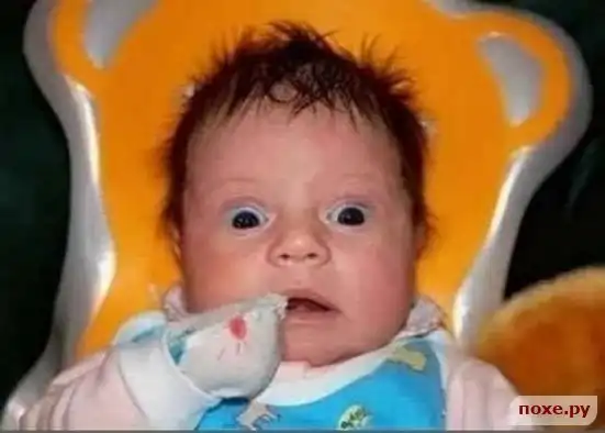 Познание мира