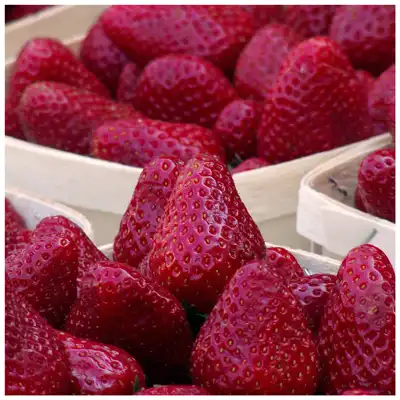 Для одного человека