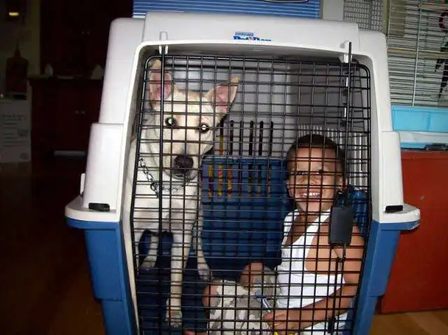 Дети в клетках.