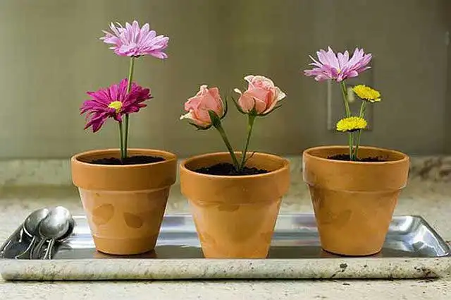 Ошеломляющий десерт.