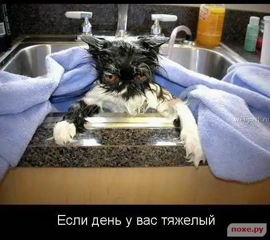 Почти вредные советы