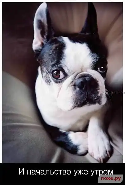 Почти вредные советы