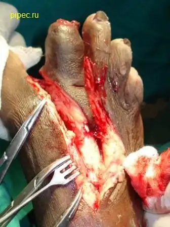 Специально для EXE