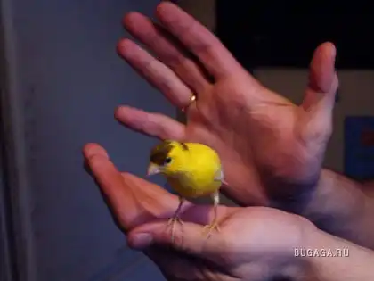 Все в твоих руках...