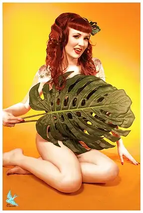 Фото в стиле Pin-up (много)