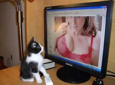 Прикольные картинки абавсём:D (14.01.10)