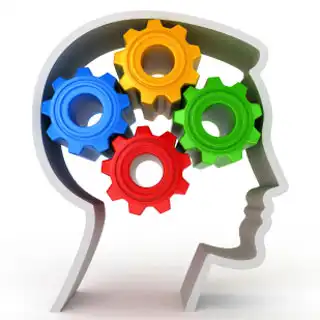 30 интересных, но бесполезных фактов