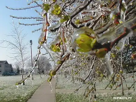 Ждём весну!