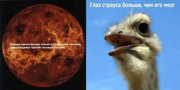 Факты, о которых многие даже не подозревали